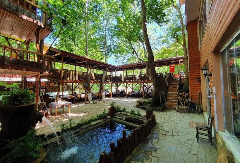 Kapuzbasi Selalesi Sahin Motel