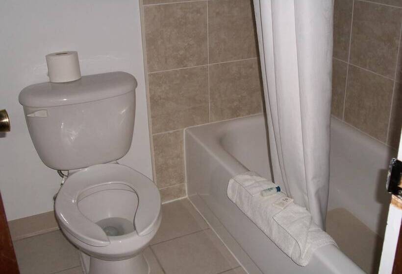 فندق على الطريق A Wyoming Inn