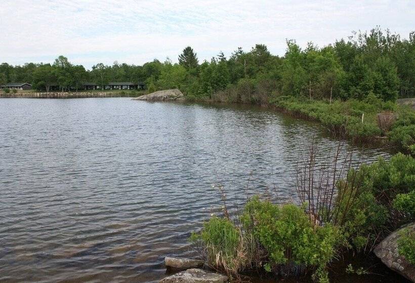 فندق على الطريق Carolyn Beach Inn