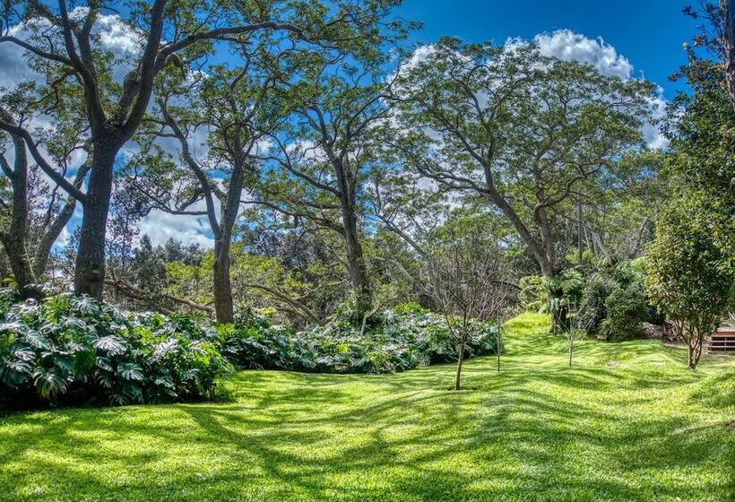 ペンション Crater Rim Cabin