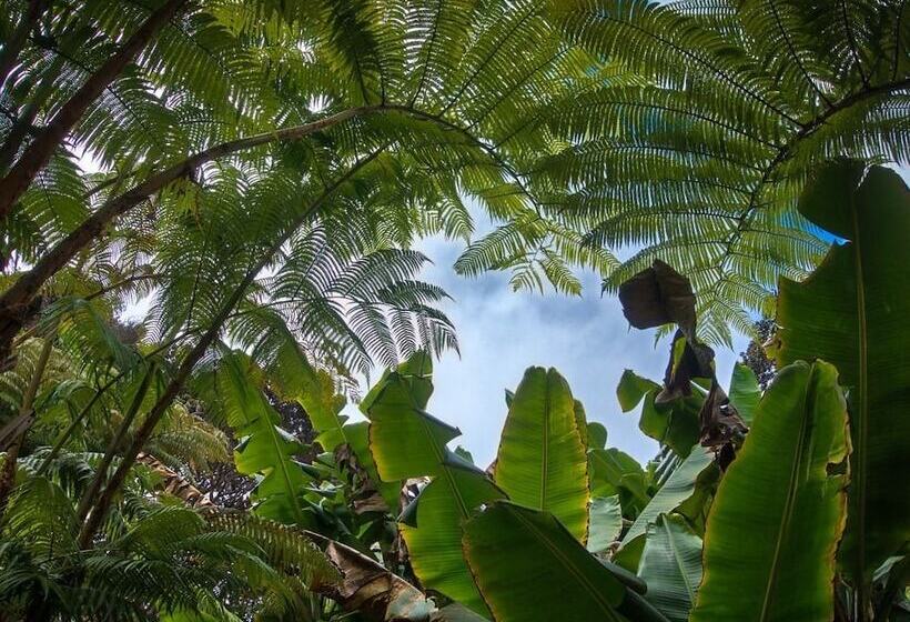 ペンション Crater Rim Cabin