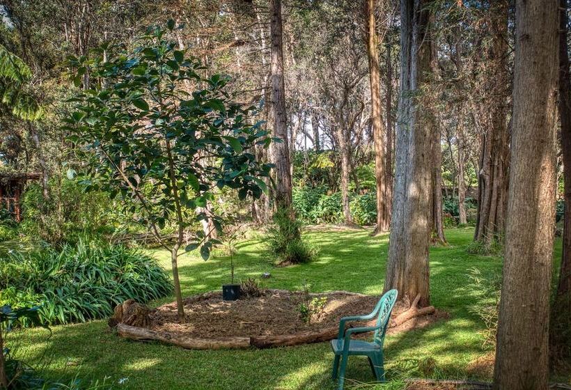 ペンション Crater Rim Cabin