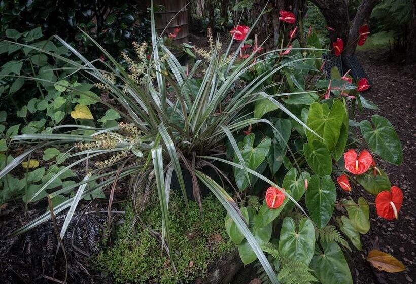 ペンション Crater Rim Cabin