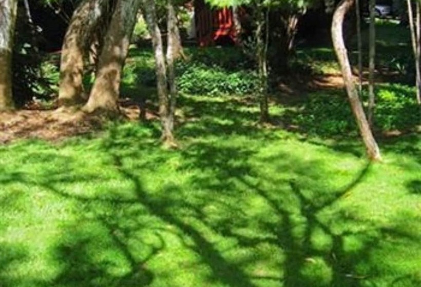 ペンション Crater Rim Cabin