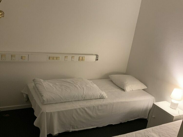 פנסיון Skuldelev Kro