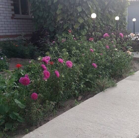 پانسیون V Gostyakh U Baby Poli