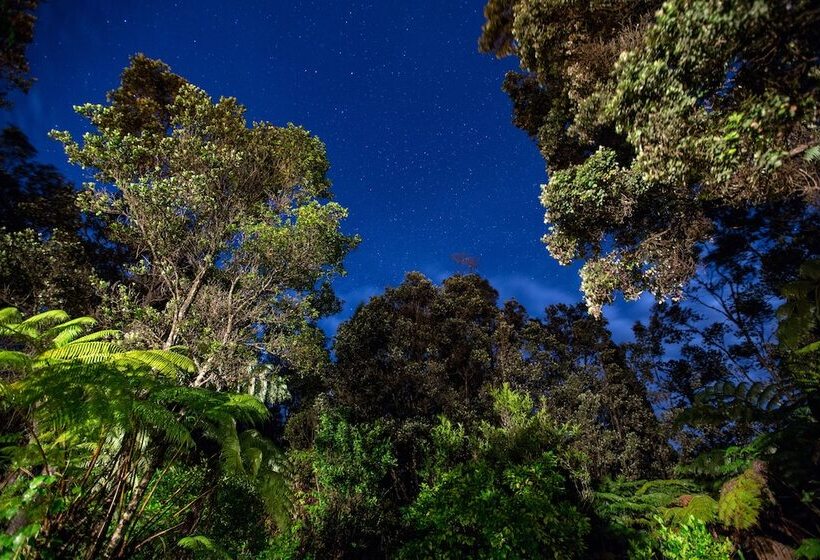 פנסיון Volcano Hale