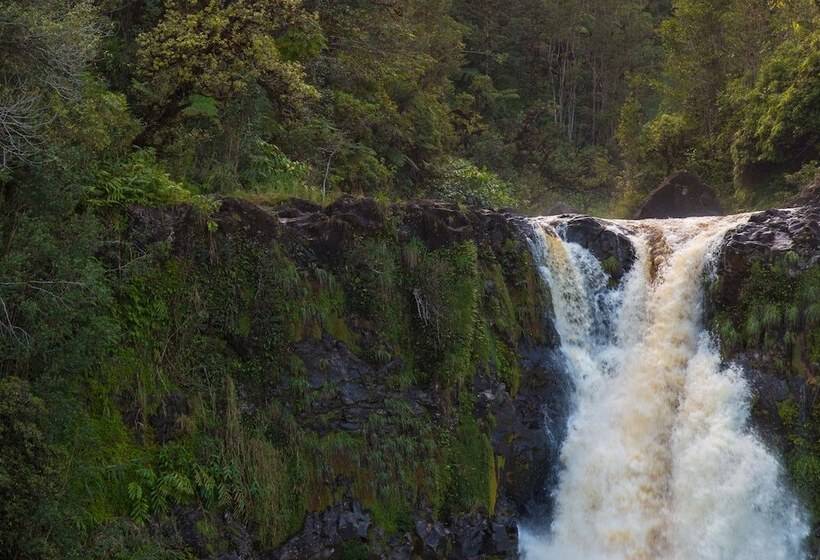 פנסיון Volcano Hale