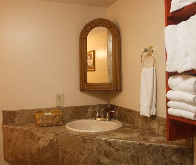 פנסיון Volcano Hale