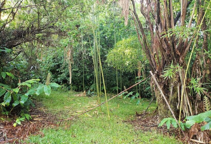 פנסיון Volcano Hale