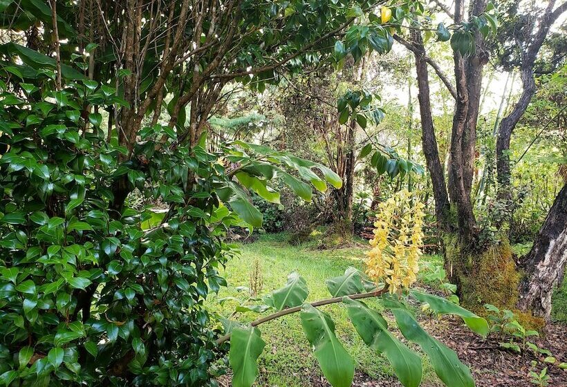 פנסיון Volcano Hale