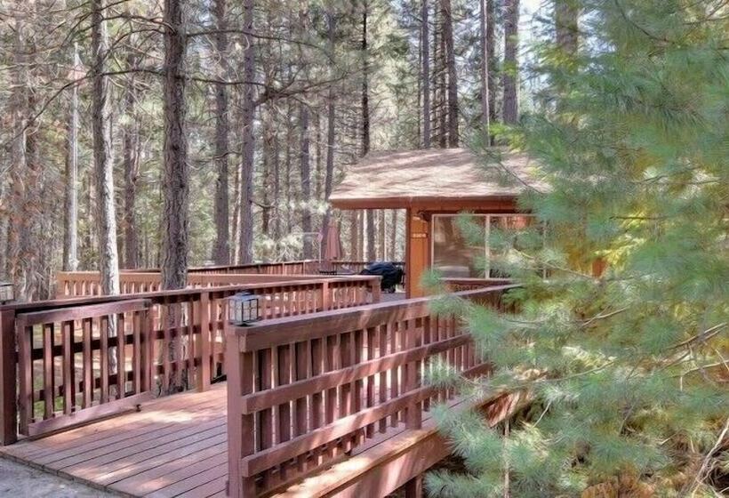Scenic Wonders Papa Bear Cabin 3 Bedroom