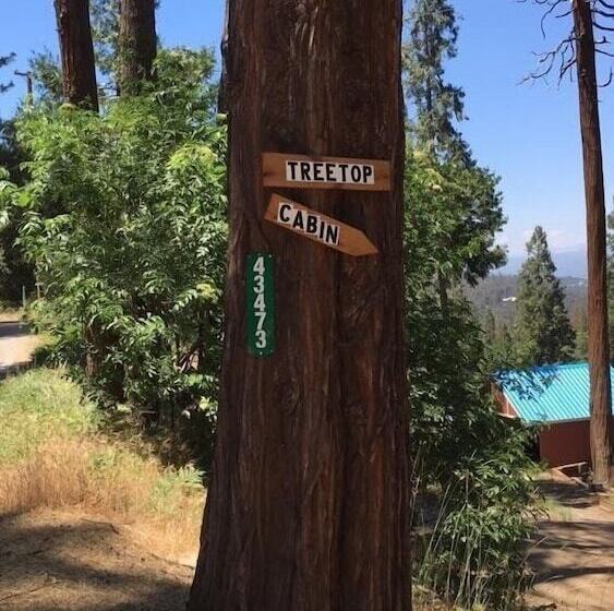 Treetop Cabin