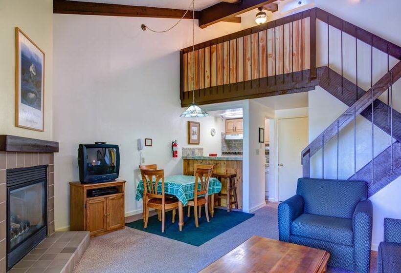 Yosemite Delight B208