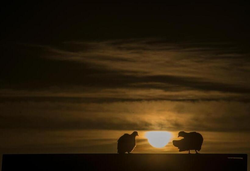 Arapey Thermal All Inclusive Resort & Spa