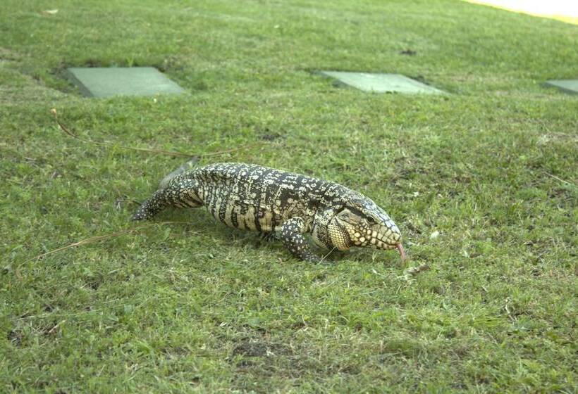 Arapey Thermal All Inclusive Resort & Spa