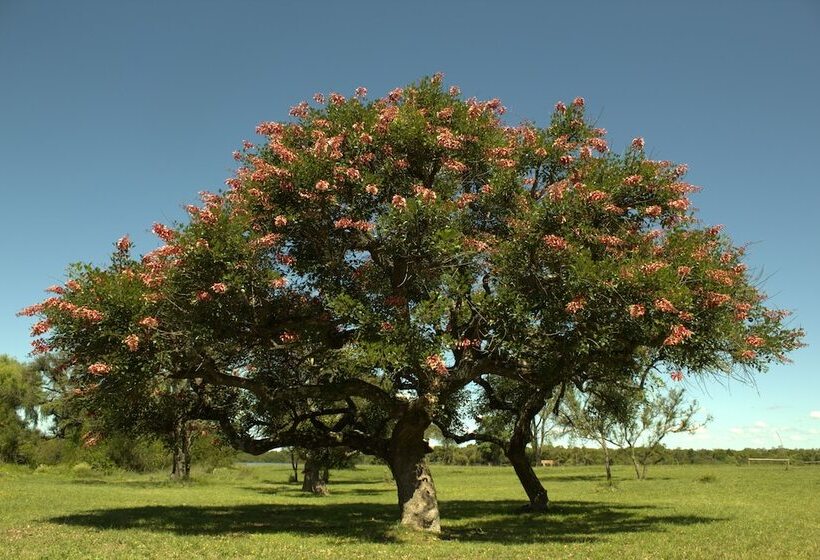 Arapey Thermal All Inclusive Resort & Spa