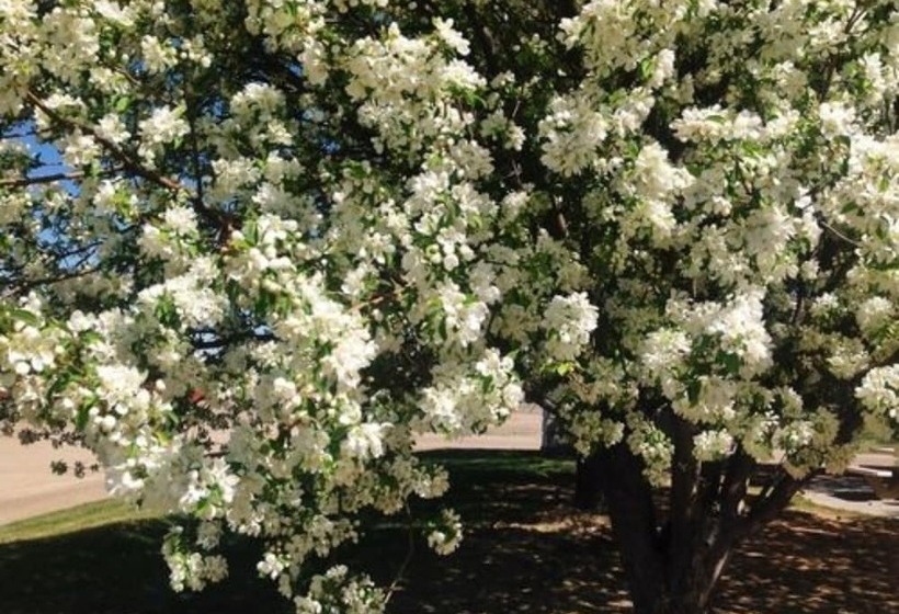 مبيت وإفطار Claremont Inn & Winery