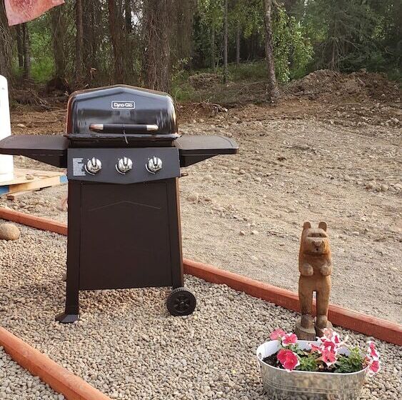 ベッドアンドブレックファースト Mooseberry Cabin, Willow Ak