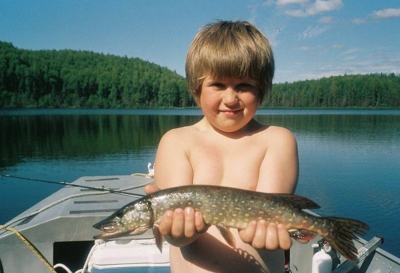 ベッドアンドブレックファースト Mooseberry Cabin, Willow Ak