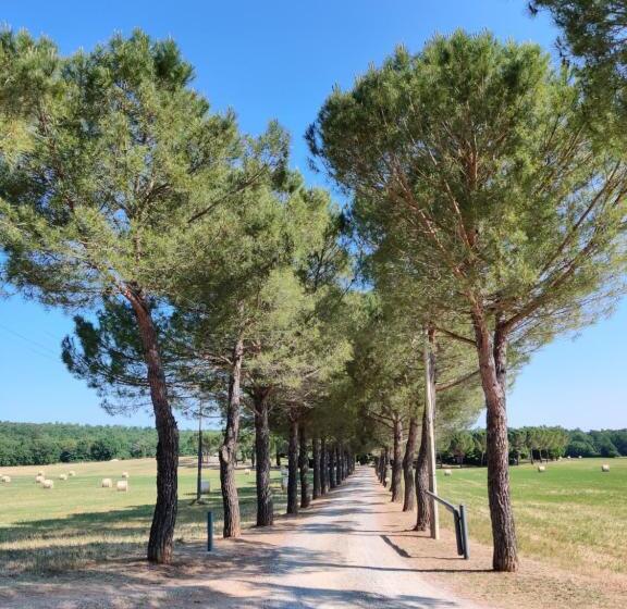 فندق Fattoria Agriturismo Nerbona