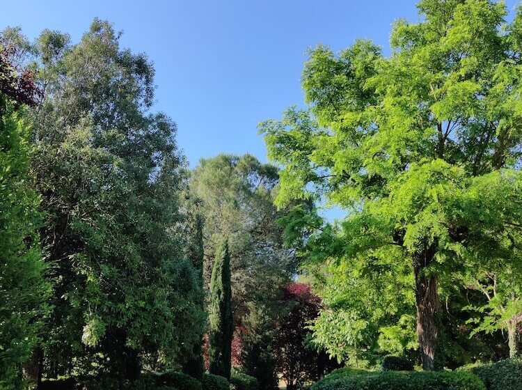 فندق Fattoria Agriturismo Nerbona