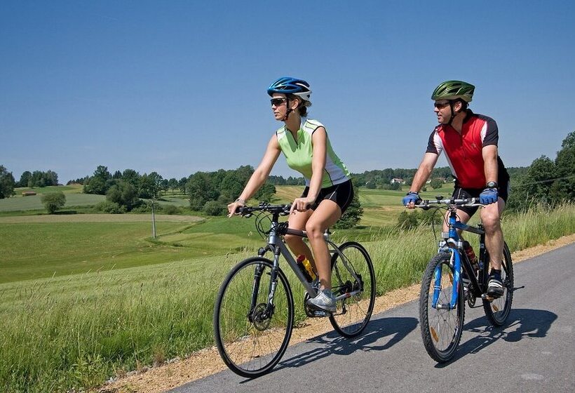 호텔 Am Martinsberg