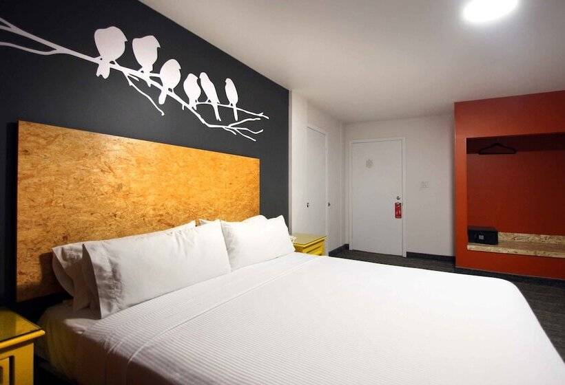 בית מלון כפרי B My