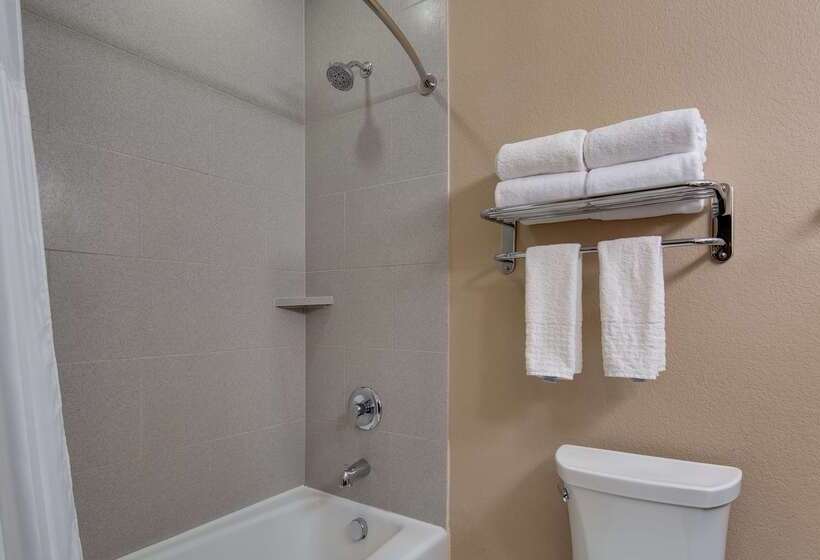 ホテル Best Western Plus Lake Jackson Inn & Suites