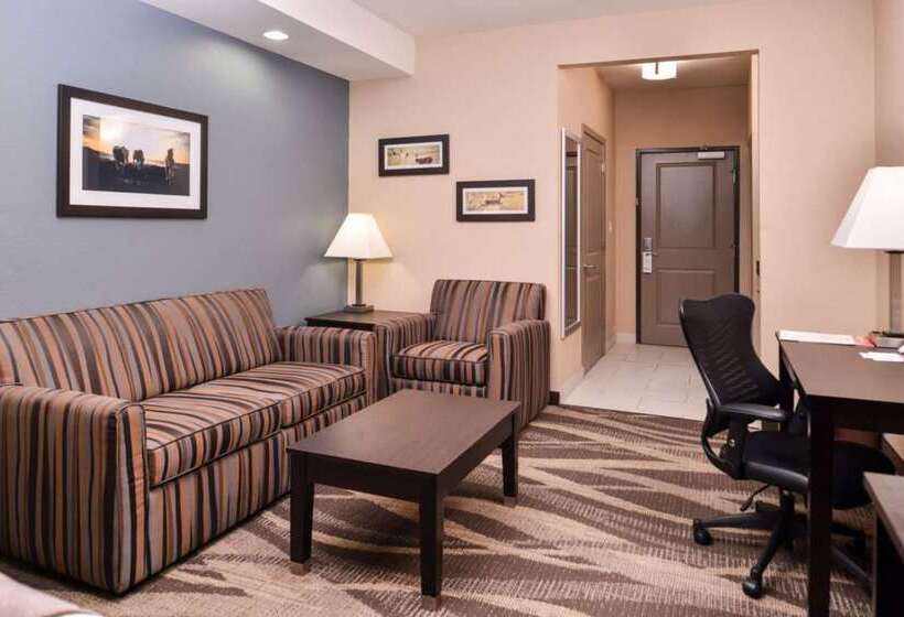 ホテル Best Western Plus Lake Jackson Inn & Suites