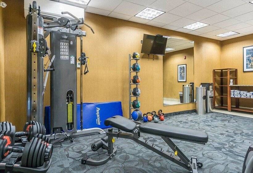 فندق Comfort Inn & Suites Edmonton International Airport