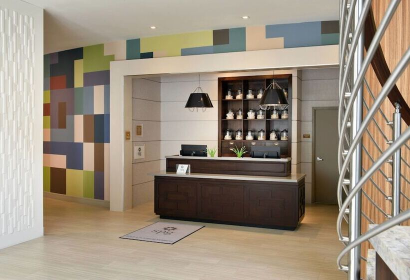 酒店 Four Points By Sheraton Coral Gables