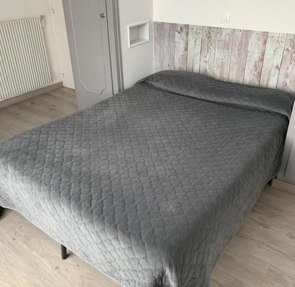 酒店 Hôtel Le Canetois