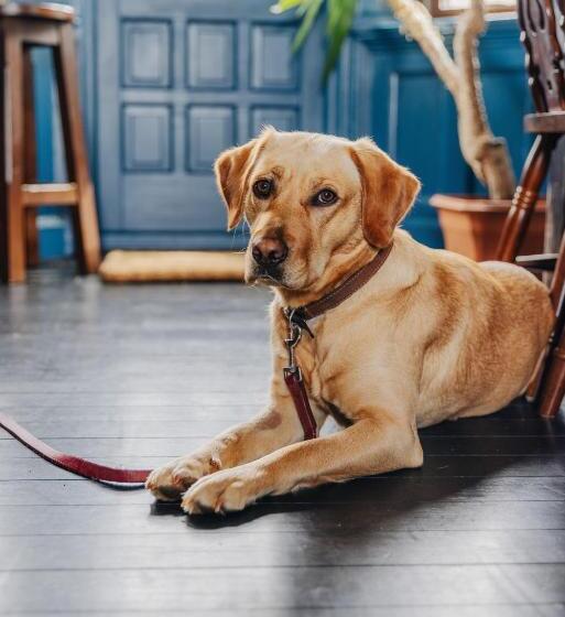 فندق Inn At Port Nan Gael