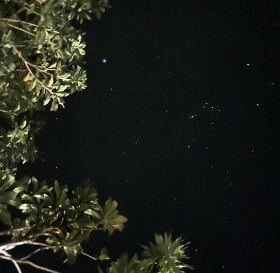 בית מלון כפרי Krabi Klong Muang Bay Resort