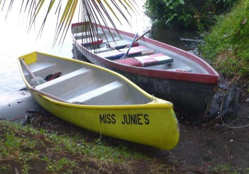 ホテル Miss Junies Lodge