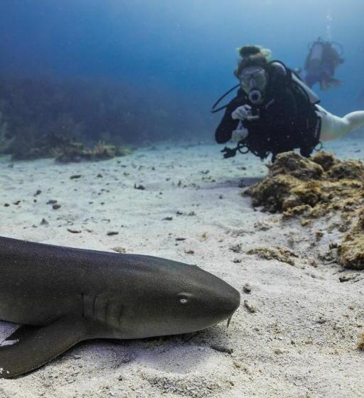 酒店 Ocean Tide Beach Resort