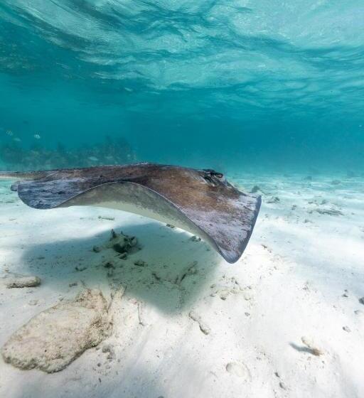 酒店 Ocean Tide Beach Resort