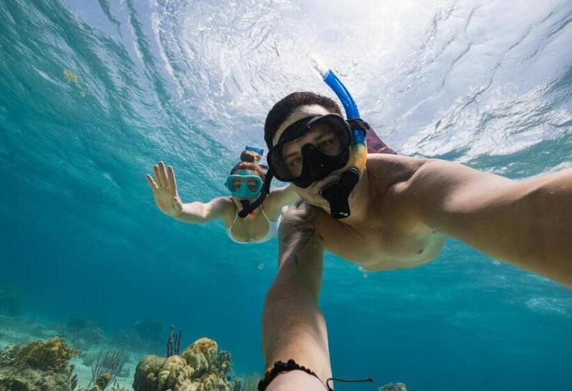 酒店 Ocean Tide Beach Resort