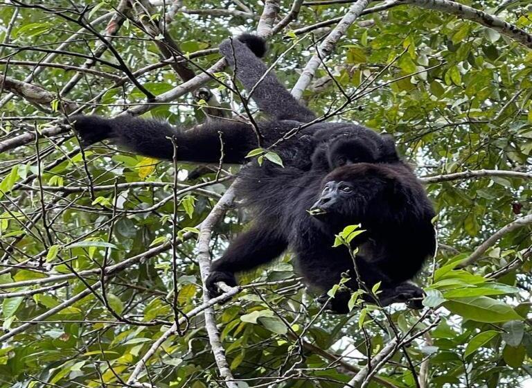 酒店 Ocean Tide Beach Resort