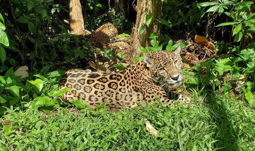 酒店 Ocean Tide Beach Resort