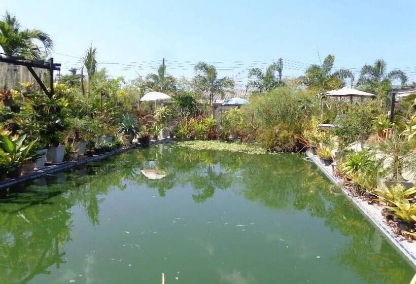 هتل One D Homestay