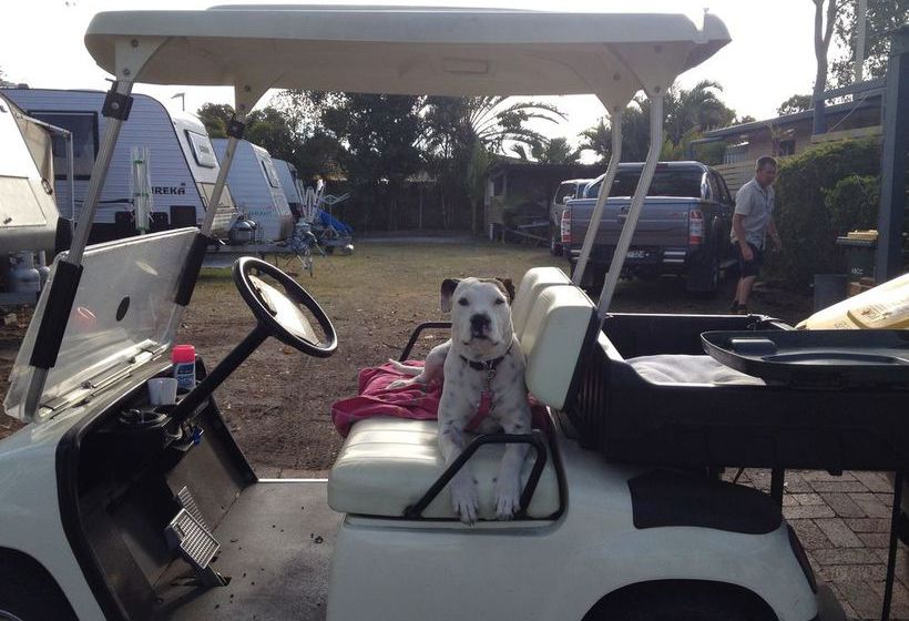 فندق Tasman Holiday Parks   Torquay Palms