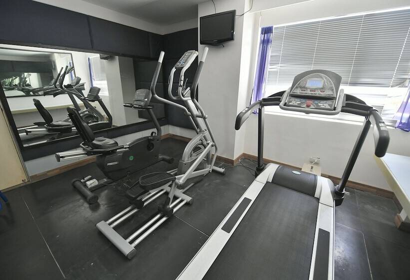 فندق Paseo Premiere