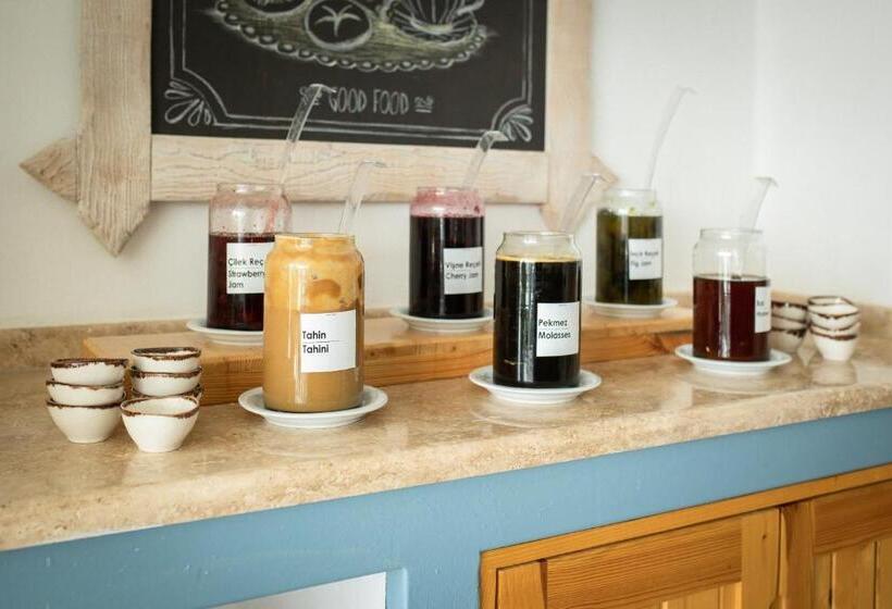 בית מלון כפרי Payam