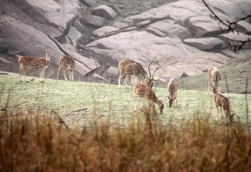 호텔 Pench Jungle Camp