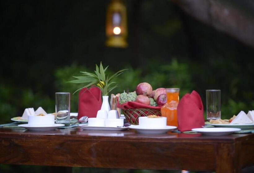 호텔 Pench Jungle Camp