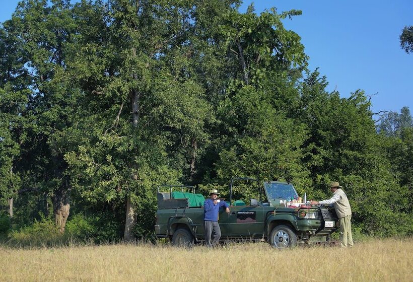 호텔 Pench Jungle Camp