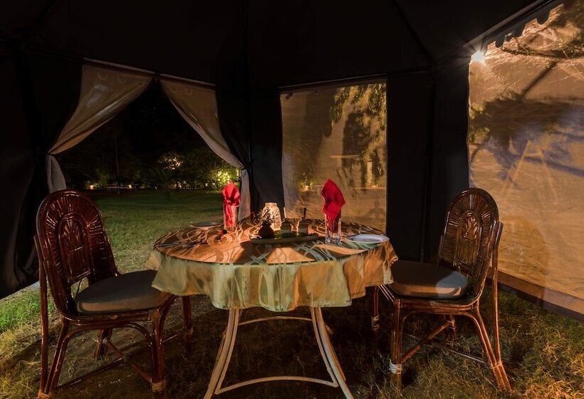 호텔 Pench Jungle Camp