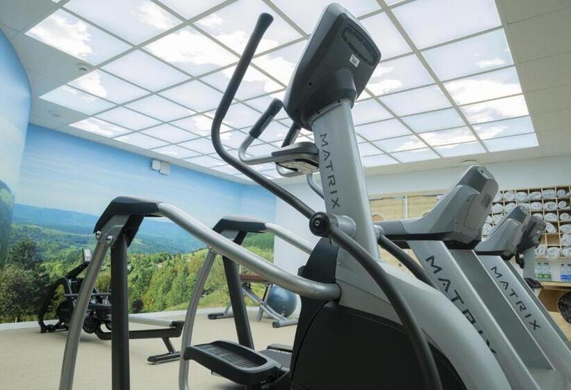 בית מלון כפרי Restaurant Mont Champ Du Feu